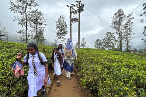 From Kandy to Nuwara Eliya & Moon Plains – Tuk‑Tuk Day Tour From Kandy: Moon Plains Highlands Viewpoint Experience