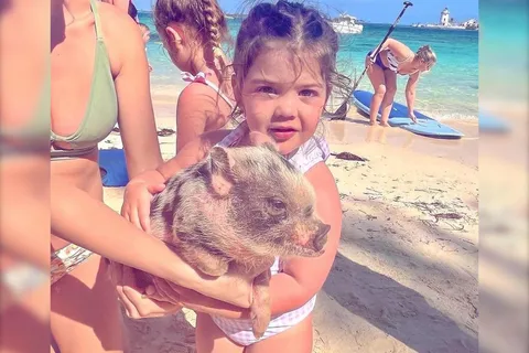 From Nassau: Rose 3-Island Tour with Pigs,Turtles,& Snorkel