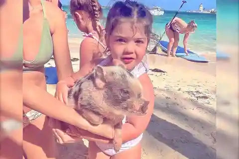 Au départ de Nassau : Tour des 3 îles de Rose avec cochons, tortues et plongée en apnée