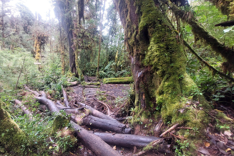 Recorrido y caminata al Volcán Barva Heredia