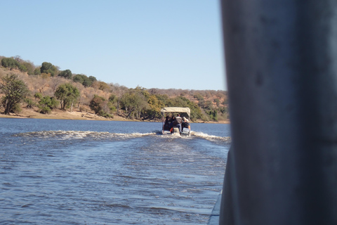Chobe River Safari Cruise with Professional Guide