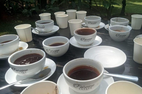 Nairobi: Tour della fabbrica e della fattoria del caffè con trasferimento
