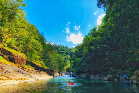 From HCMC: 3-Day Madagui Forest Tour with Da Huoai Stream