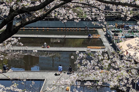 Tokyo: Fishing Experience