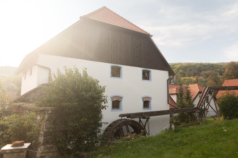 Malé Karpaty: Castillo de Červený Kameň + Cata de vinos + CenaMalé Karpaty: Castillo de Červený Kameň + Degustación de vinos - Verano