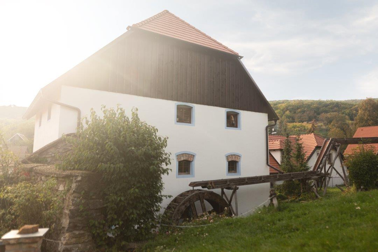 Małe Karpaty: Zamek Červený Kameň + degustacja wina + kolacja