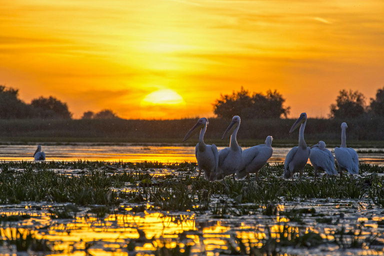 Tulcea: Danube Delta Tour, Mila 23, Letea & Sulina Beach