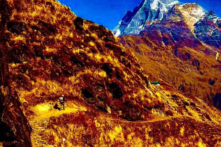 Pokhara: Mardi Himal Trek met 1 Nacht in een Boskamp