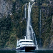Milford Sound: Waterfalls, Wildlife, and Rainforest Cruise Milford Sound: Waterfalls, Wildlife, and Rainforest Cruise