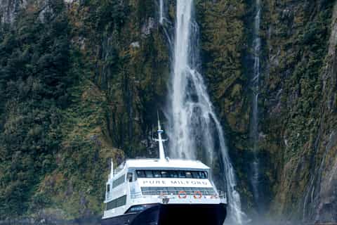 Milford Sound: Waterfalls, Wildlife, and Rainforest Cruise - Image 3