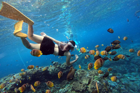 Nusa Penida Land Tour & Snorkeling Option with Photo From Penida- Snorkeling and West Penida