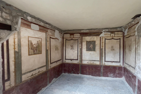 Von Positano aus: Geführte Tour durch Pompeji mit Skip the Line