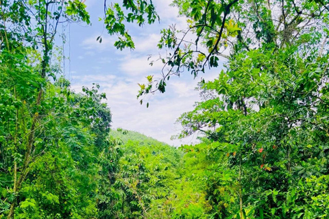 Montego Bay : Expérience des grottes de Cockpit
