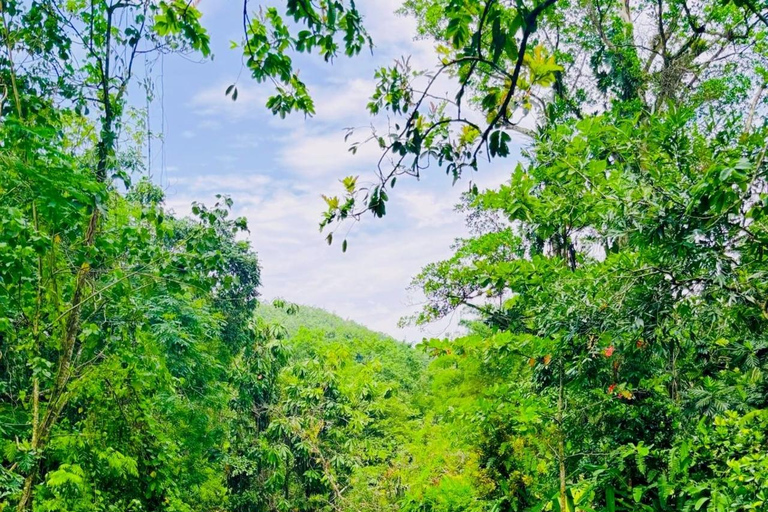 Montego Bay : Expérience des grottes de Cockpit