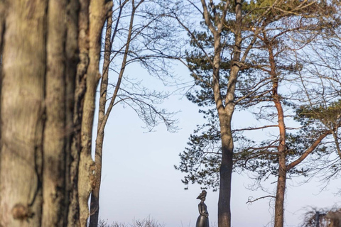 Paisagens da Letônia: Tour guiado por Kemeri e Jurmala