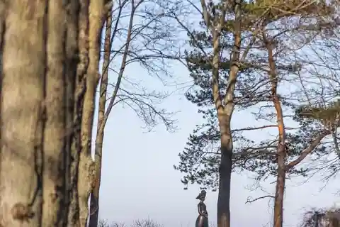 Paysages lettons : Visite guidée de Kemeri et Jurmala