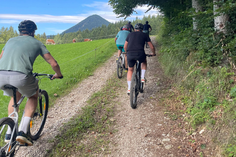 Hallstatt by bike: Scenic Lake Ride & Hallstatt Village