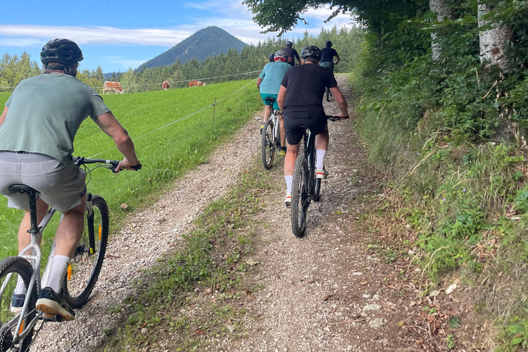 Hallstatt by bike: Scenic Lake Ride & Hallstatt Village