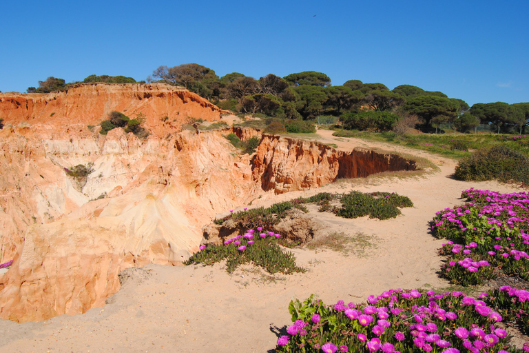 Albufeira: Algarve Guided Off-Road Electric Scooter Tour Countryside & Castle Tour - Paderne Off-Road Experience (2h)