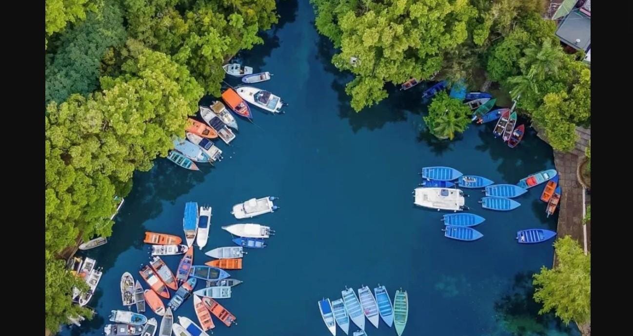 Mangrovenboot- und Plantagentour – in Rio San Juan
