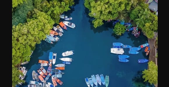 Mangrove boat and plantation tour - in Rio San Juan