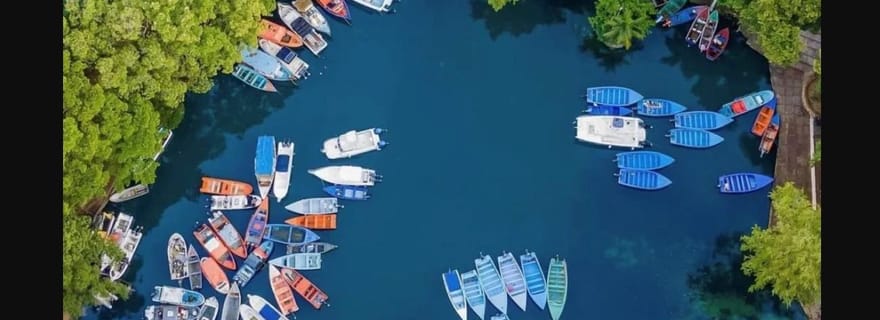 Tour en bateau dans les mangroves - Rio San Juan Visite guidée de 4 à 6 heures