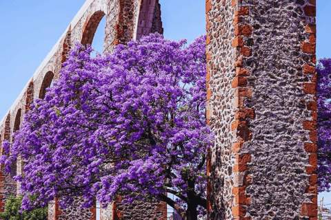 De CDMX e PUEBLA: PURO MEXICANO (8 CIDADES) 10 DIASDE CDMX: Querétaro, Guanajuato, Guadalajara, Michoacan, Puebla, Oaxaca