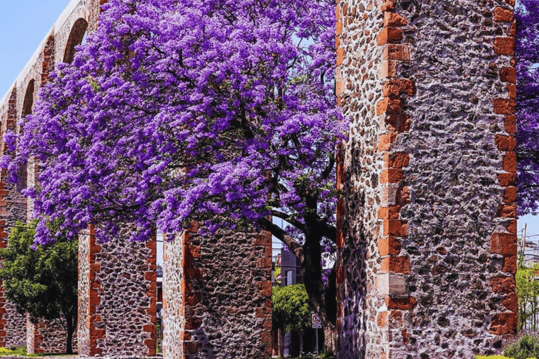 De CDMX e PUEBLA: PURO MEXICANO (8 CIDADES) 10 DIASDE CDMX: Querétaro, Guanajuato, Guadalajara, Michoacan, Puebla, Oaxaca