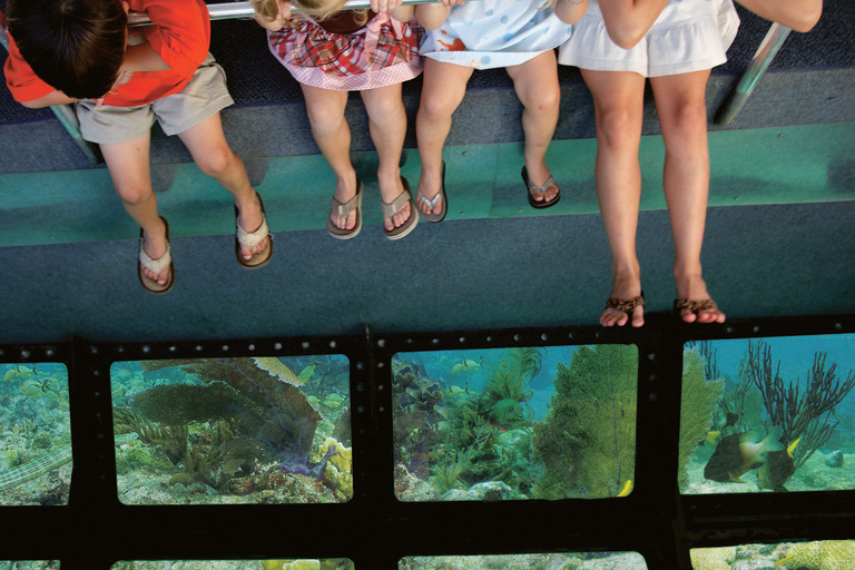 Ab Miami: Tour nach Key West mit WassersportaktivitätenGanztägige Tour mit Glasbodenbootfahrt