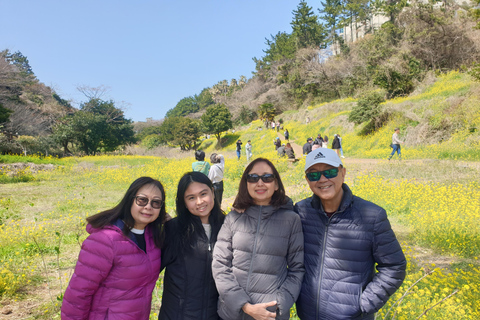 Ontdek de hoogtepunten van Jeju eiland en de UNESCO sites!