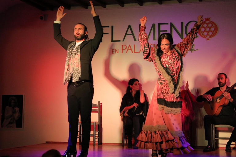 Granada: 1 uur traditionele flamenco show in PalacioFlamenco in Palacio Granada