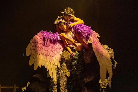 岘港：汉江晚餐游船之旅（含仙沙表演）岘港：汉江晚餐游船之旅，含仙沙表演