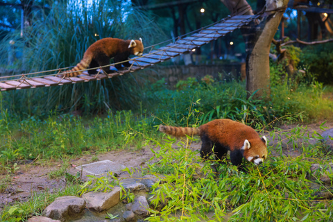 Shanghai Wildlife Park 1-Day Ticket + Free Safari Shuttle