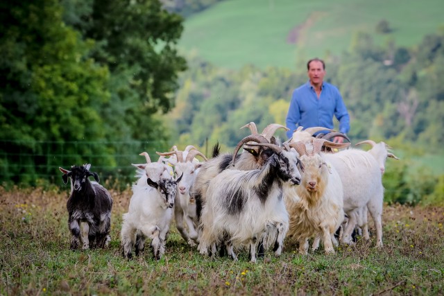 Visit San Leo Cashmere Farm Experience in Urbino, Italy