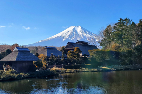 Viaje de 3 días a Tokio, el Monte Fuji y Hakone