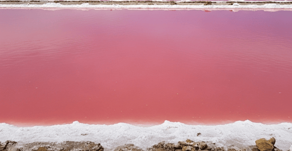 CARTAGENA: Totumo Volcano and Galerazamba Salt Flats (Pink Sea) Sightseeing Tour!