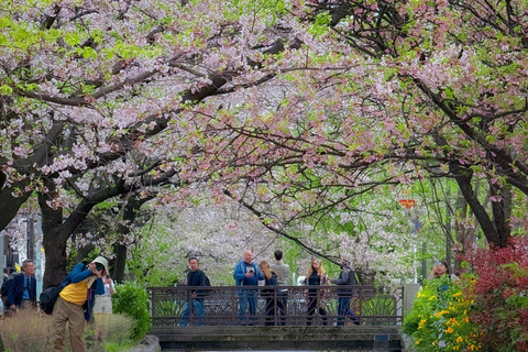 جلسة تصوير خاصة في كيوتو مع مرشد