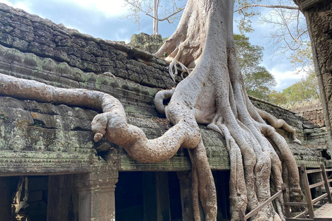 Siem Reap: Tur i liten grupp 1 dagstur på Angkor WatTur i liten grupp på franska