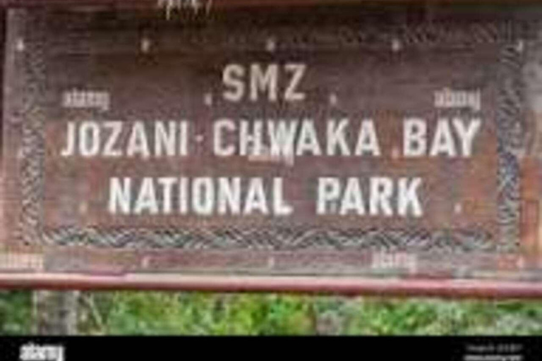 Spice Farm, Jozani Forest Red Colobus Monkeys & Salaam Cave Private Tour with Hotel Transfer (Entry Fees Not Included)