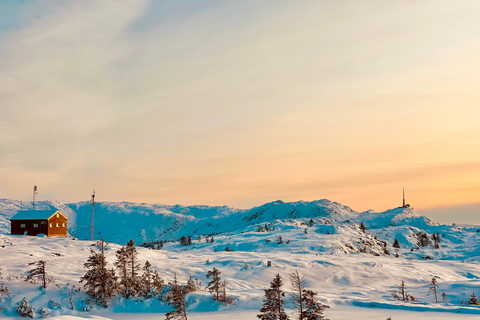 Winter Adventure - Snow Hiking