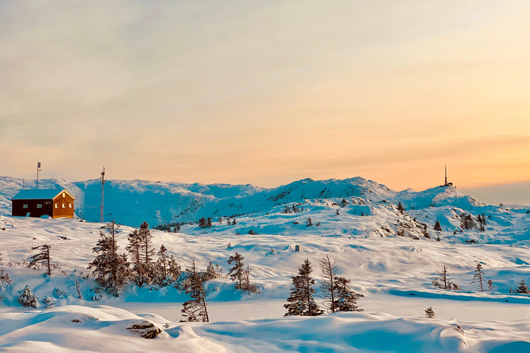 Winter Adventure - Snow Hiking