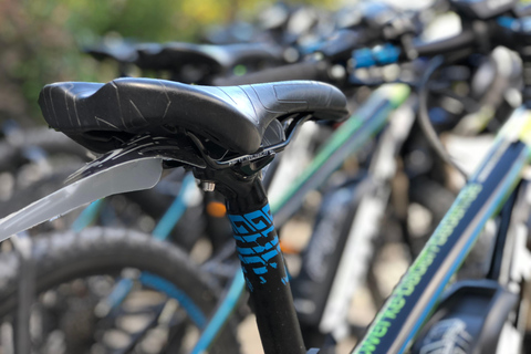 Baden-Baden: Private e-Mountainbike Tour with local Guide