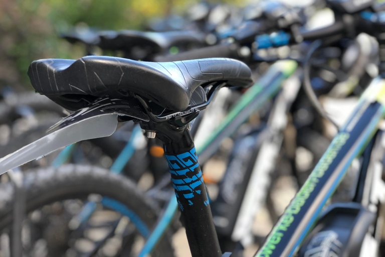 Baden-Baden: Private e-Mountainbike Tour with local Guide