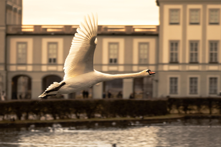 Scandals, Power & Mythology – Peter's Storywalk: Nymphenburg Scandals, Power & Mythology – Peter's Storywalk around Nymphenburg / GRP