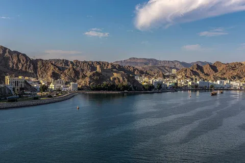 Muscat: Full or Half-Day City Tour with Grand Mosque