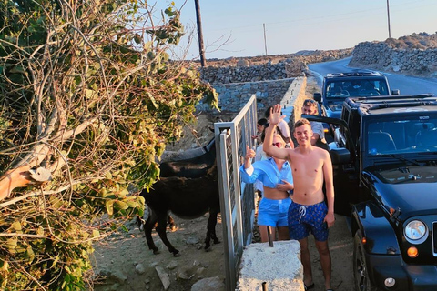 Mykonos: Excursión Privada en Jeep con la playa de Myrsini y Ano Mera