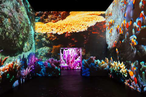 Amsterdam: Fabrique des Lumières De Zee Toegangsbewijs