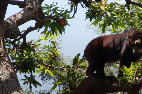 Escapade dans la réserve écologique de Chaparri