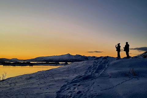 特罗姆瑟：正宗塞尼亚岛一日旅行（含午餐）