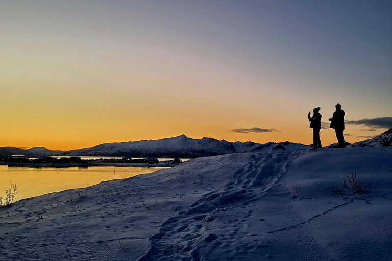 特罗姆瑟：正宗塞尼亚岛一日旅行（含午餐）